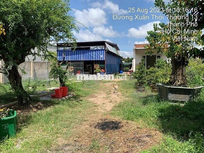 Đất Xuân Thới Thượng mặt tiền đường