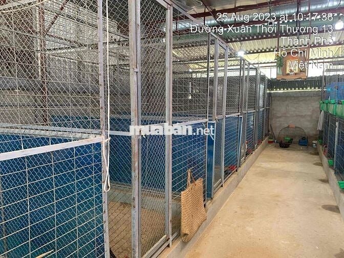 Đất Xuân Thới Thượng mặt tiền đường