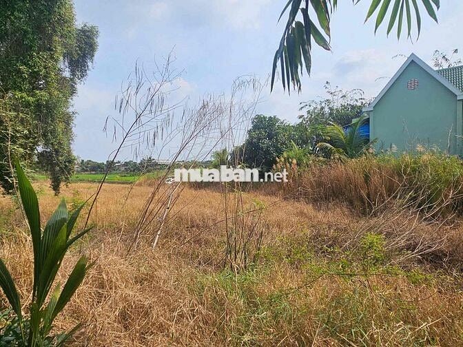 Thanh lý lô đất full thổ mặt tiền Quốc lộ 62, Bình Hiệp, Kiến Tường