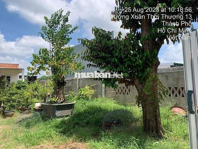 Đất Xuân Thới Thượng mặt tiền đường