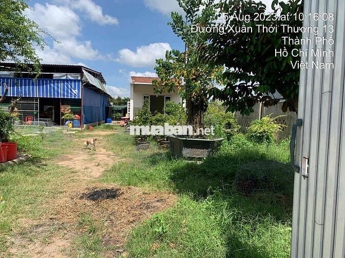Đất Xuân Thới Thượng mặt tiền đường