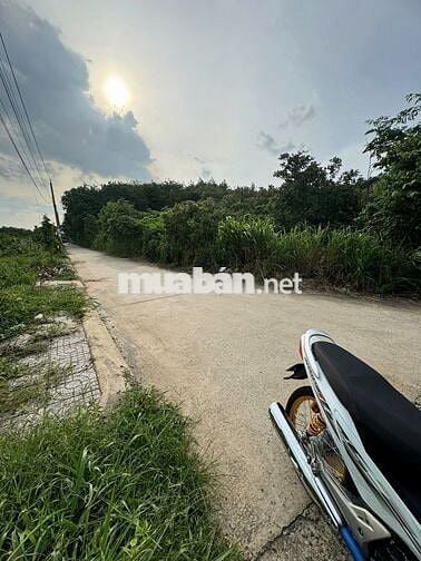 BÁN ĐẤT ĐƯỜNG ĐẶNG XUÂN BẢNG, KP SUỐI NHUM, PHƯỜNG TÂN THÀNH, TP.HCM