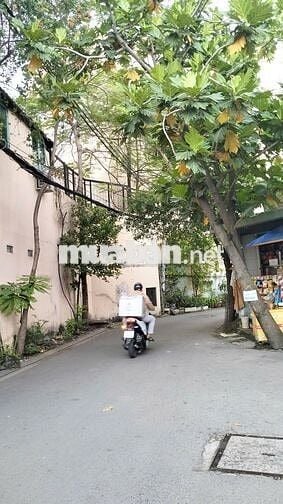 Đất Hiếm, Tỉnh Lộ 10, Bình Tân, Hẻm Nhựa 6m, 87m², 4x22m, Chỉ 5.25 Tỷ