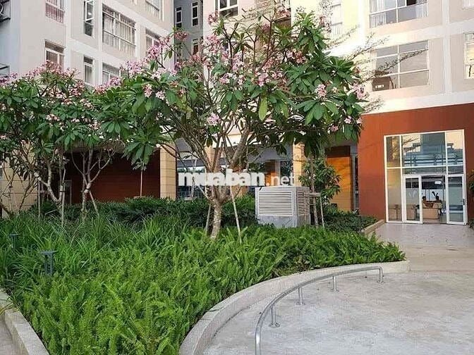 BÁN NHANH VALEO 3pn Diện tích khủng