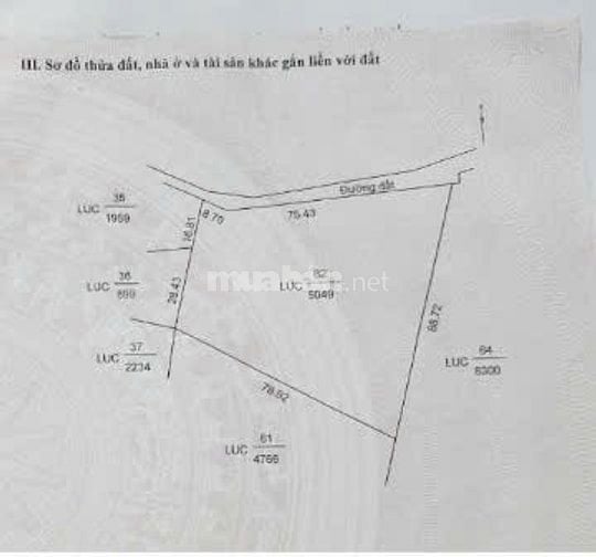 Chính chủ bán đất mặt tiền 83m Rạch Dung, Mỹ Khánh, Long Xuyên 5.040m2