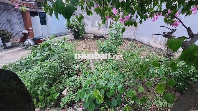 Chính chủ cần tiền bán đất ~50m2  Phường Chương Mỹ- HN - Miễn MG- TG