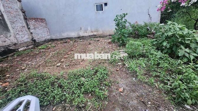 Chính chủ cần tiền bán đất ~50m2  Phường Chương Mỹ- HN - Miễn MG- TG