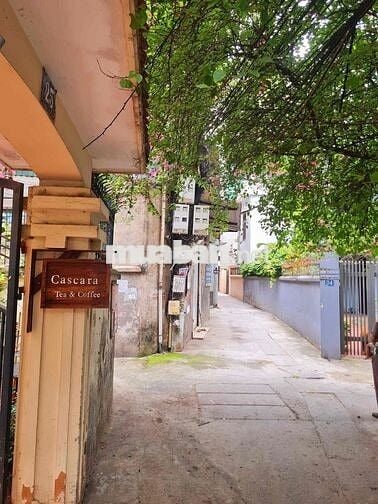 cho thuê sân không gian mở bán cây tổ chức workshop