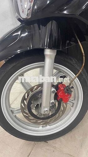 Shark 125 xe rin