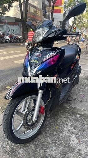 Shark 125 xe rin