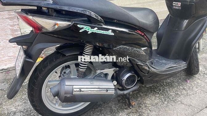 Shark 125 xe rin