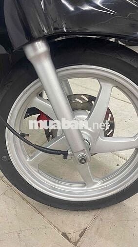 Shark 125 xe rin