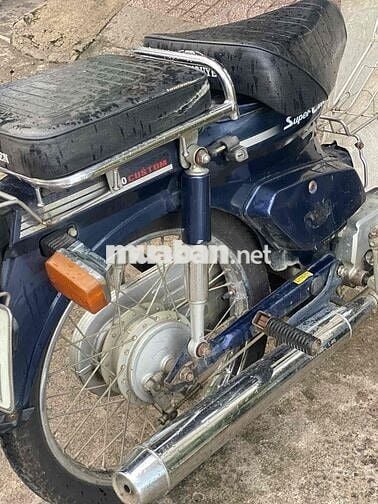 Cub 50cc