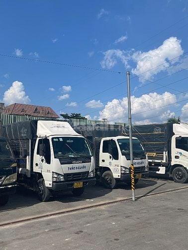 Cty cần tuyển tài xế xe tải bằng B2, C