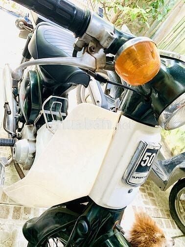 xe cúp nhà đang dùng 50 cc