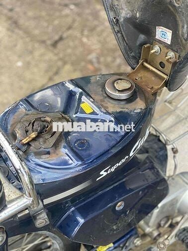 Cub 50cc
