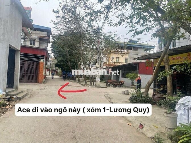 Bán nhà Lương Quy Đông Anh – 3 tầng sân vườn, sáng thoáng, 4.4 tỷ
