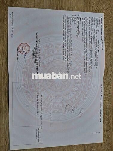 Chính chủ em bán lô đất đường . Đường thông oto tại thôn hà lâm 2 Chính chủ em bán lô đất đường . Đường thông oto tại thôn hà lâm 2