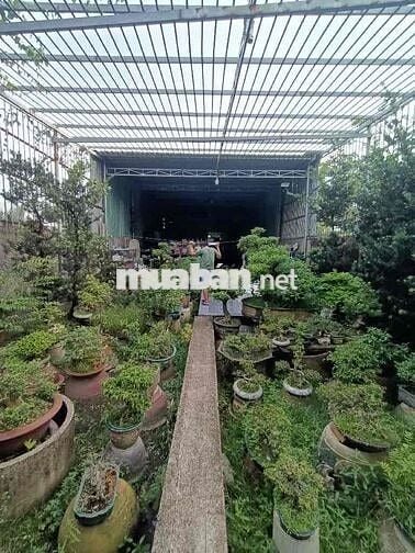 NGỘP NẶNG 12 TỶ GIẢM CÒN 8 TỶ - SHR CÓ NHÀ VÀ XƯỞNG TRÊN ĐẤT