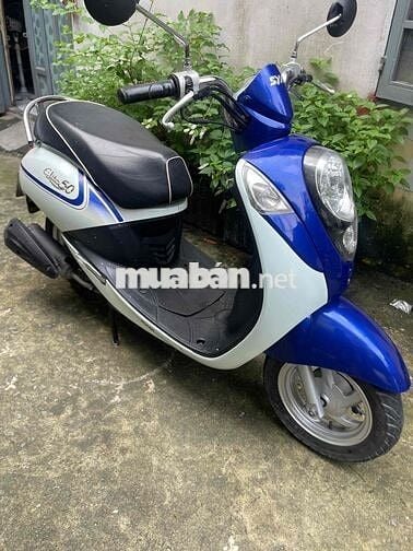 elite 50 dk 2019 bstp 9 chủ