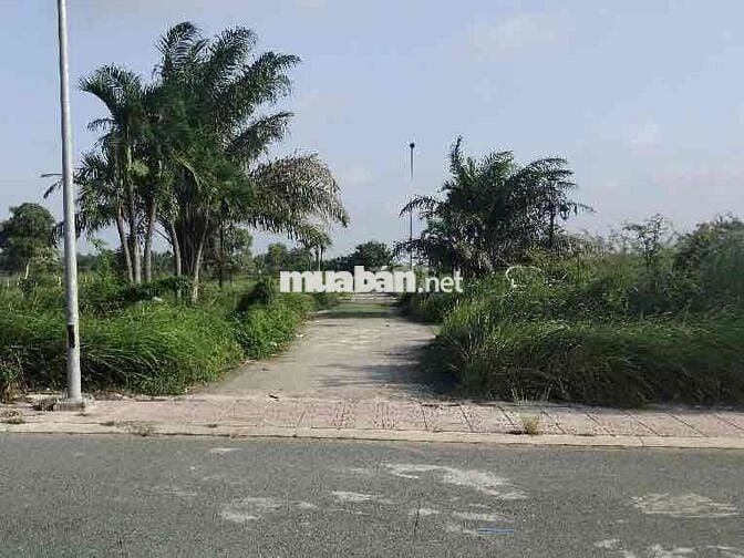 Cực hiếm đất ODT ngay chợ Đức Hoà, sổ riêng, hạ tầng hoàn thiện