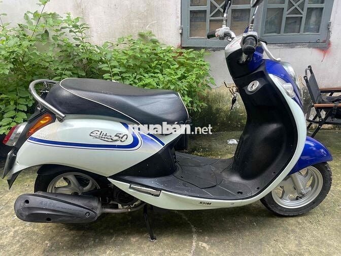 elite 50 dk 2019 bstp 9 chủ