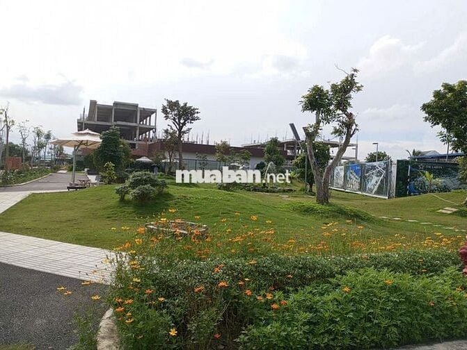 NHANH CHÂN ĐỂ SỞ HỮU LÔ ĐẤT CÓ DÒNG TIỀN  ,SÁT CHỢ ĐỨC HOÀ,GIÁ 950T/86