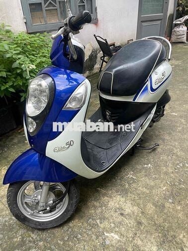elite 50 dk 2019 bstp 9 chủ