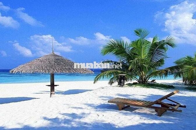 Bán đất Bình Dương, Thăng Bình – View biển – giá tốt