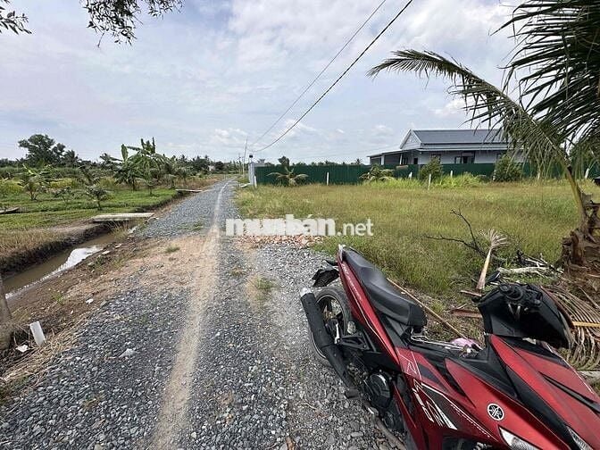 🌈🌈 500m có sẵn 180m thổ - ấp 1, Bình Đức, nhựa 816 vào 500m
