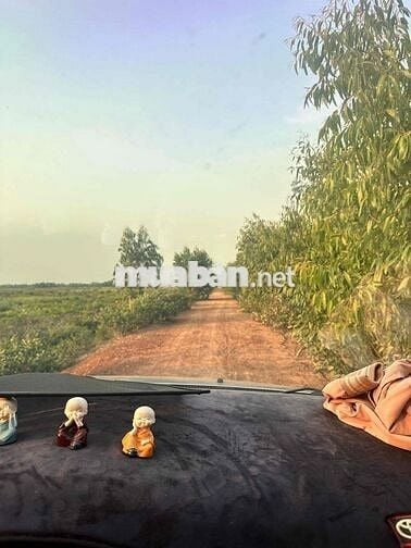 bán đất khu C kẹt vốn cần ra gấp