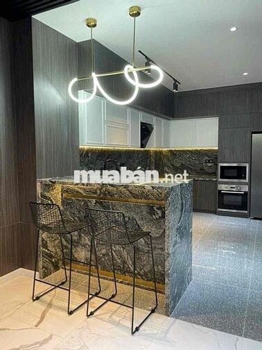 Cho thuê biệt thự Phú mỹ hưng Q.7, 8,13x19m, 2 lầu, nội thất cao cấp