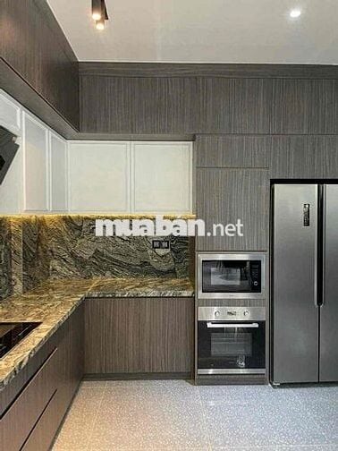 Cho thuê biệt thự Phú mỹ hưng Q.7, 8,13x19m, 2 lầu, nội thất cao cấp