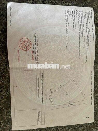 Bán đất Vỉnh Tân 21 làn kho xưởng