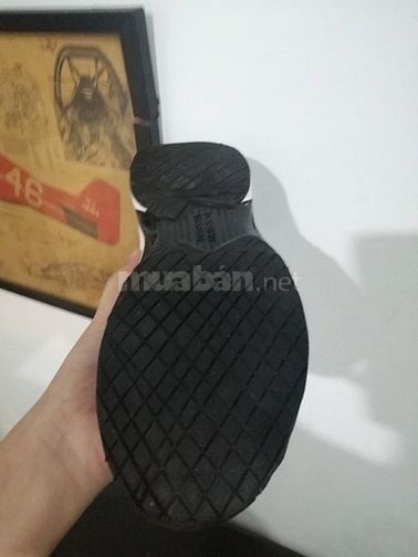 Giày thể thao adidas CourtJam Control size 41