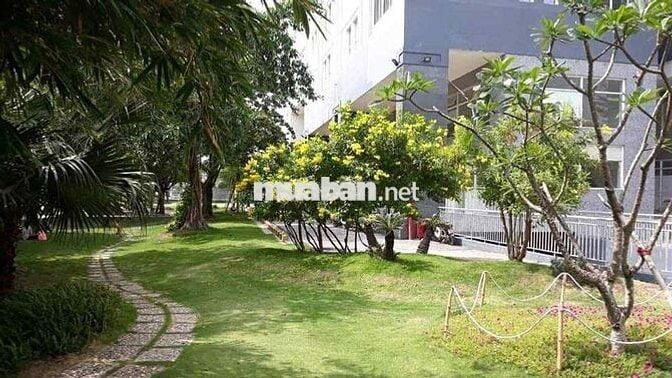 căn hộ 64m2  2 PN Dreamhome luxury