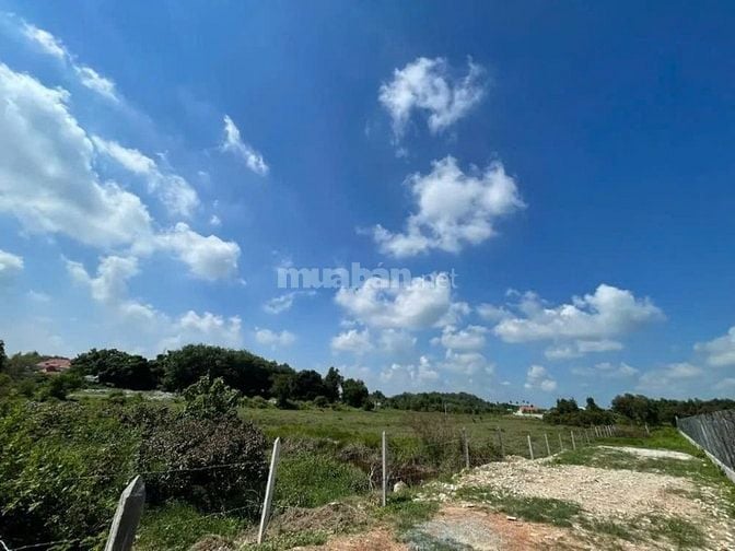Công ty Đấu giá hợp danh Lam Sơn Sài Gòn THÔNG BÁO ĐẤU GIÁ TÀI SẢN