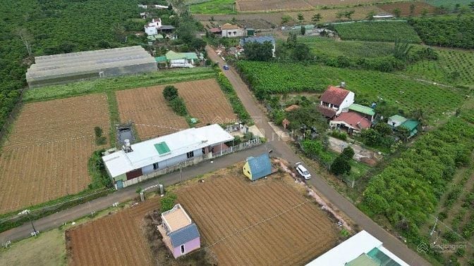 BÁN LÔ ĐẤT PHƯỜNG 2 BẢO LỘC GẦN NGÃ NĂM ĐAMBRI (NHÁNH KHÚC THỪA DỤ)