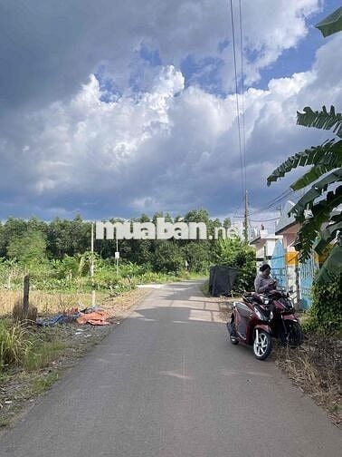 BÁN ĐẤT CHÍNH CHỦ 5X29M THỔ CƯ ĐƯỜNG BÊ TÔNG TRẢNG BOM