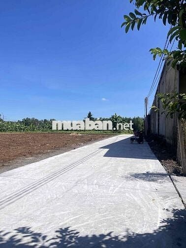 BÁN ĐẤT CHÍNH CHỦ 5X29M THỔ CƯ ĐƯỜNG BÊ TÔNG TRẢNG BOM