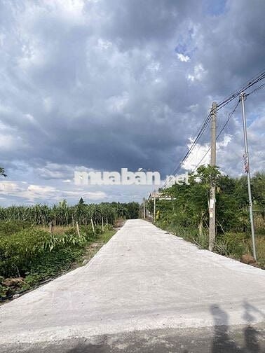 BÁN ĐẤT CHÍNH CHỦ 5X29M THỔ CƯ ĐƯỜNG BÊ TÔNG TRẢNG BOM