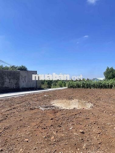BÁN ĐẤT CHÍNH CHỦ 5X29M THỔ CƯ ĐƯỜNG BÊ TÔNG TRẢNG BOM