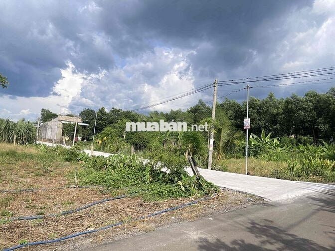 BÁN ĐẤT CHÍNH CHỦ 5X29M THỔ CƯ ĐƯỜNG BÊ TÔNG TRẢNG BOM
