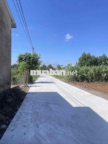 BÁN ĐẤT CHÍNH CHỦ 5X29M THỔ CƯ ĐƯỜNG BÊ TÔNG TRẢNG BOM