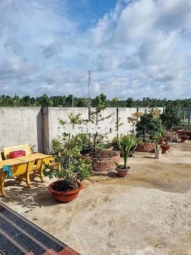 bán gấp căn nhà vườn ở An Hòa Trảng Bàng 750tr.SHR