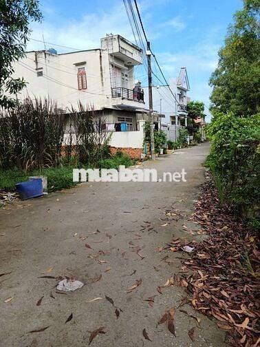 200m² Đất sổ hồng riêng, tặng thêm 100m,HXH tận cửa, Tân Hiệp Hóc Môn