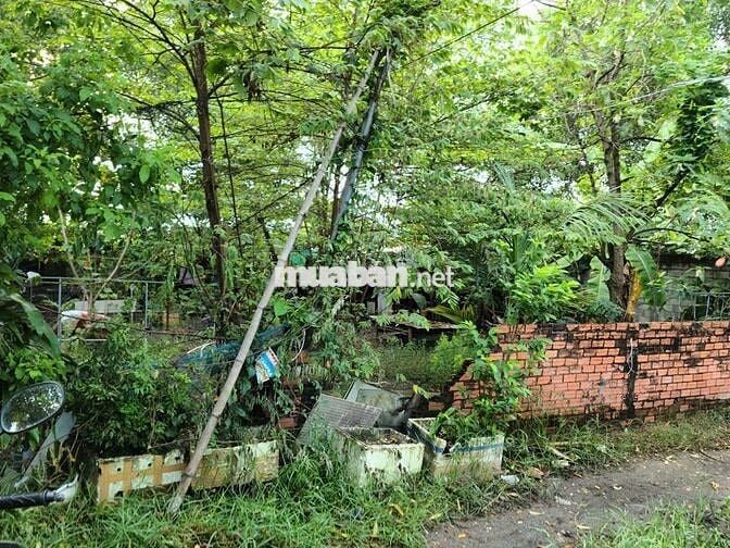 200m² Đất sổ hồng riêng, tặng thêm 100m,HXH tận cửa, Tân Hiệp Hóc Môn