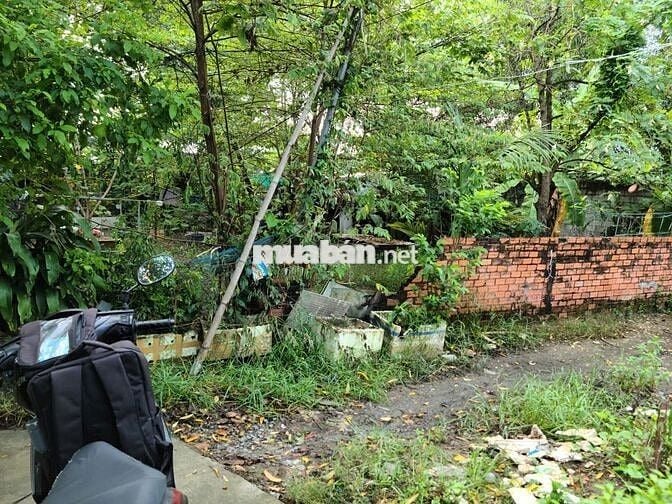 200m² Đất sổ hồng riêng, tặng thêm 100m,HXH tận cửa, Tân Hiệp Hóc Môn