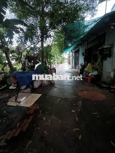 200m² Đất sổ hồng riêng, tặng thêm 100m,HXH tận cửa, Tân Hiệp Hóc Môn