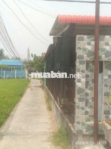 🌴 BÁN ĐẤT ĐẸP TRUNG TÂM TÂN AN – GIÁ TỐT CHO NHÀ ĐẦU TƯ 🌴